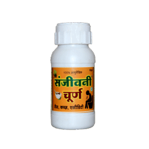 Sanjeevani Churna