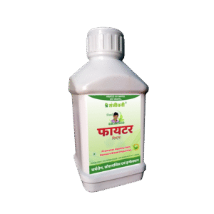 Sanjeevani Fighter Syrup