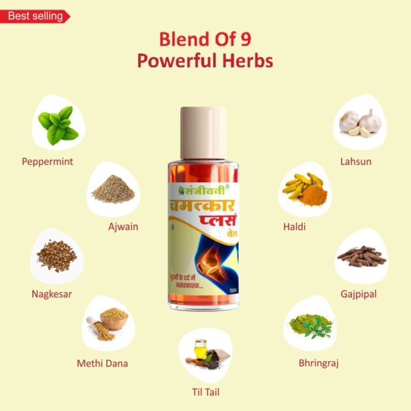 Sanjeevani Knee & Joint Cure Pack - Image 3