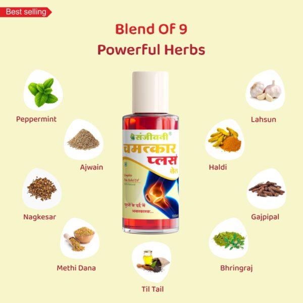 Sanjeevani Knee & Joint Cure Pack - Image 3